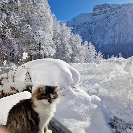 Guest house Haus Sonnberg Mellau