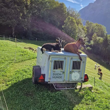 Guest house Haus Sonnberg Mellau