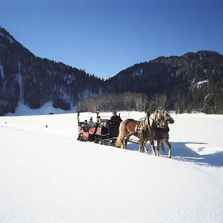 Haus Sonnberg Mellau